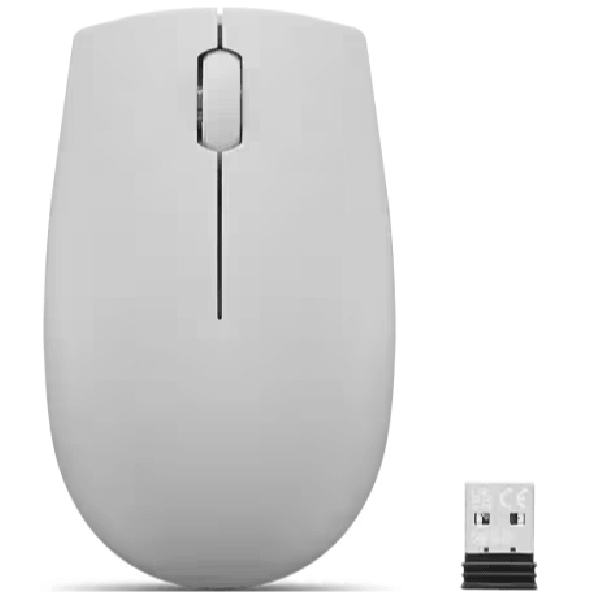 Mouse Lenovo GY51L15678 300, Wireless, USB, Arctic Gray