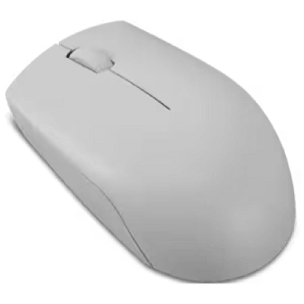 Mouse Lenovo GY51L15678 300, Wireless, USB, Arctic Gray