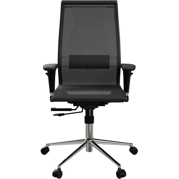 Office Chair Ergolife 1F5.D.1.353 SynchroSit 10 B2-189D - T, Black