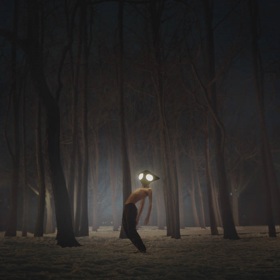 Vinyl Geese – Projector G01