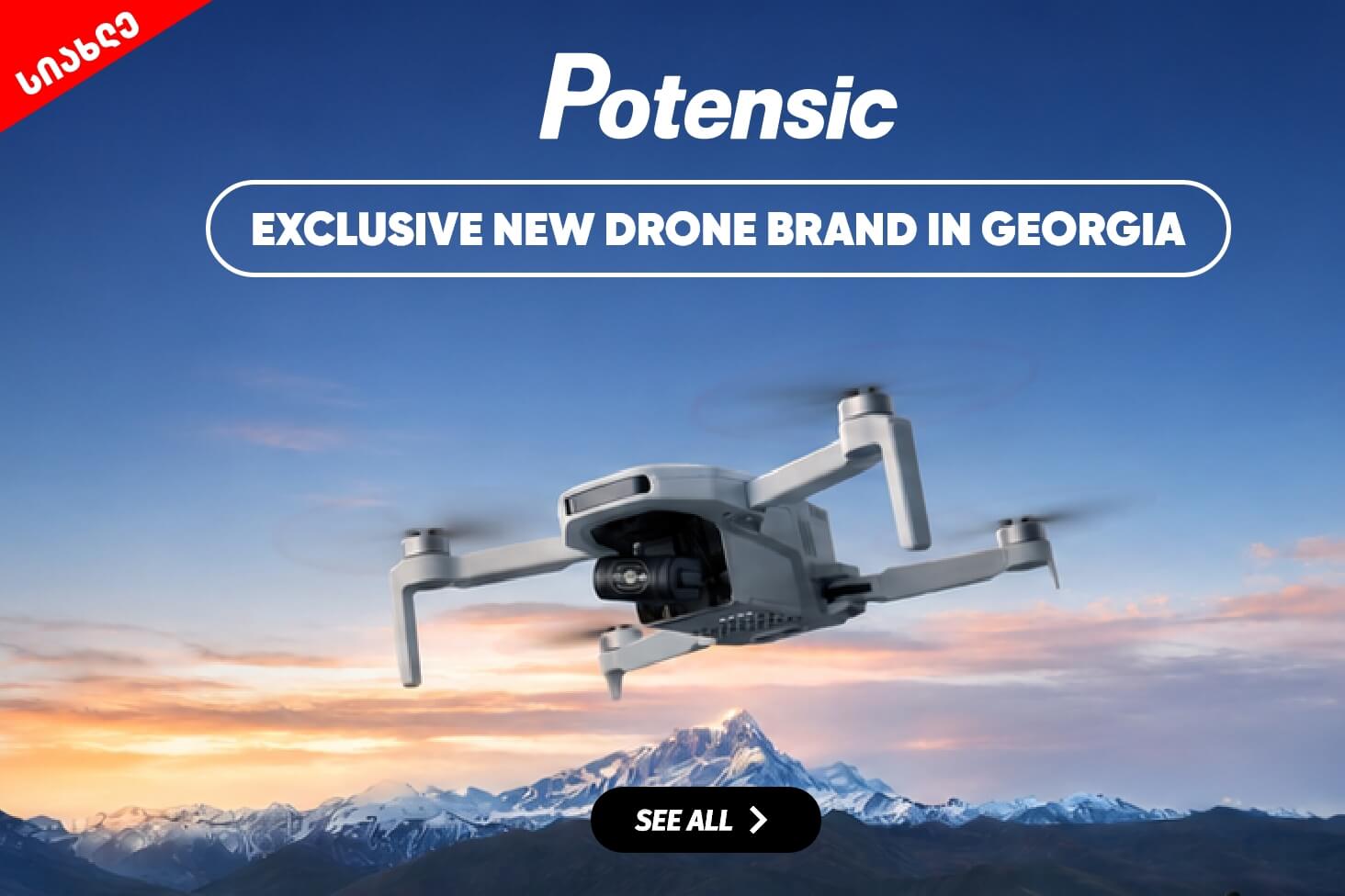 POTENSIC