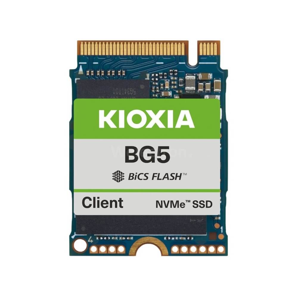მყარი დისკი Kioxia KBG50ZNS256G BG5, 256GB, M.2, Internal Hard Drive