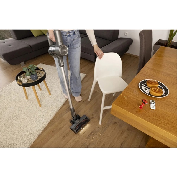 Vacuum Cleaner Gorenje SVC252426FFCA, 300W, Grey