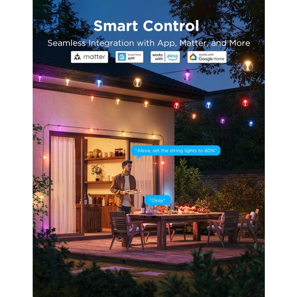 Outdoor Clear Bulb String Lights Govee H7025CB1, 15m, WiFi, Bluetooth, Black