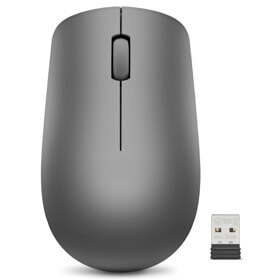 Mouse Lenovo GY50Z49089 530, Wireless, USB, Grey