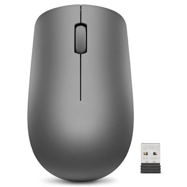 Mouse Lenovo GY50Z49089 530, Wireless, USB, Grey