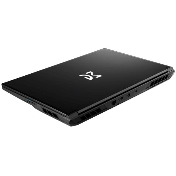 Notebook Dream Machines RG5060-17UA34, 17.3", i9-14900HX, 16GB, 1TB SSD, RTX5060 8GB, Black