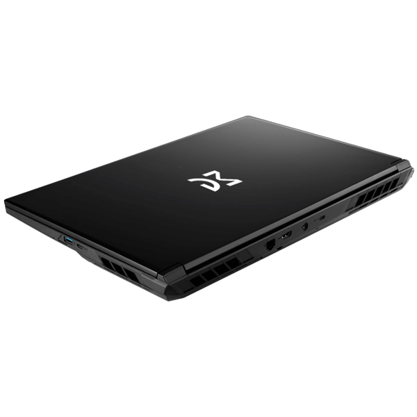 Notebook Dream Machines RG5050-17UA90, 17.3", FHD IPS, i7-13620H, 16GB, 1TB SSD, RTX5050 8GB, Black