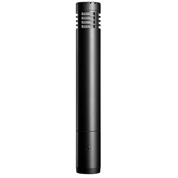 მიკროფონი Audio-Technica AT2031 Cardioid Condenser, XLR, Microphone, Black