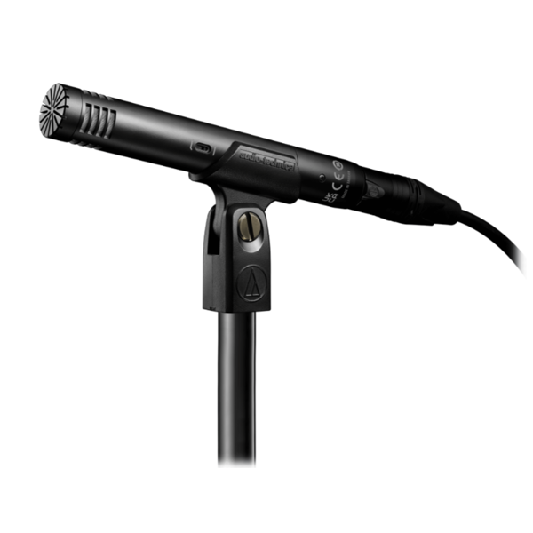 მიკროფონი Audio-Technica AT2031 Cardioid Condenser, XLR, Microphone, Black