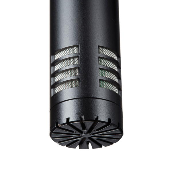 მიკროფონი Audio-Technica AT2031 Cardioid Condenser, XLR, Microphone, Black