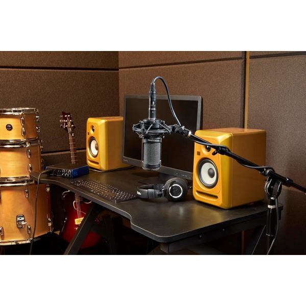 მიკროფონი Audio-Technica AT2050 Multi-pattern Condenser, XLR, Microphone, Black
