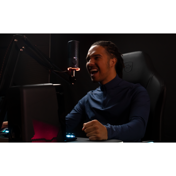Microphone JBL JBLQSTREAMBLK Quantum Stream, USB, Black