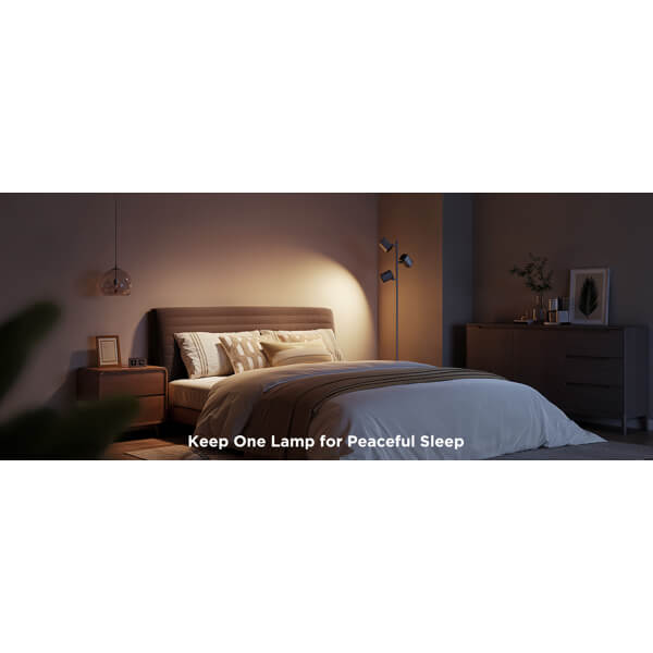 Floor Lamp Govee H60B2311, Bluetooth, WiFi, Black