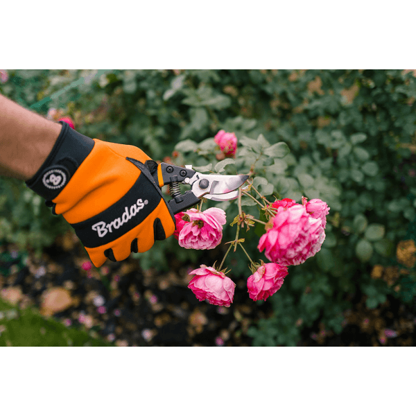 Secateur Bradas KT-V1035, Black