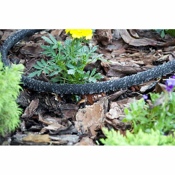 Garden Hose Bradas AQUA-DROP WAD1/2050, 50m, Black