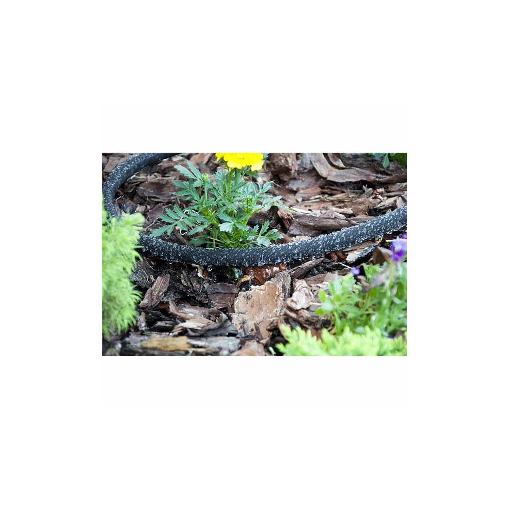 Garden Hose Bradas AQUA-DROP WAD1/2050, 50m, Black