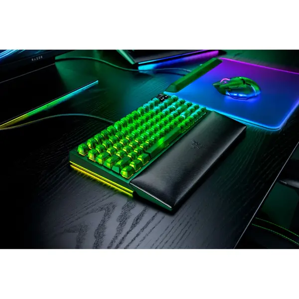 Gaming Mechanical Keyboard Razer RZ03-05003300-R3M1 BlackWidow V4, Wired, USB, RGB, Phantom Green