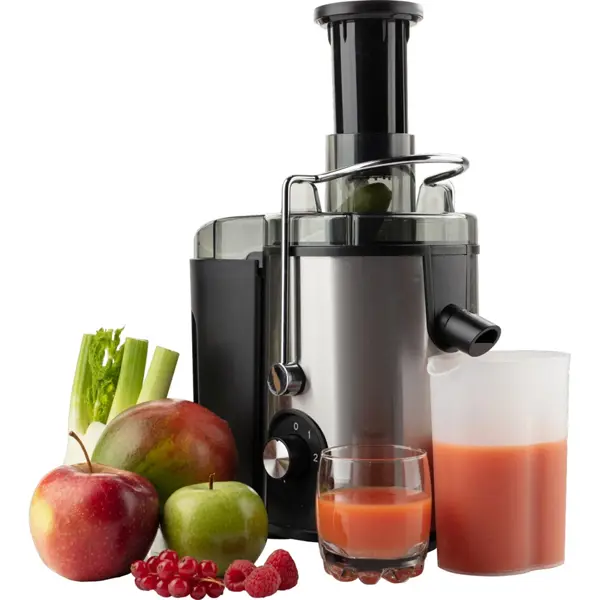 Juicer Gorenje JC400BE, 200W, 0.6L, Silver