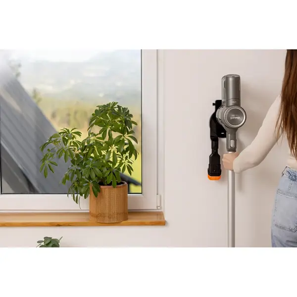 მტვერსასრუტი Gorenje SVC252420FFA, 95W, 0.5L, Vacuum Cleaner, Grey