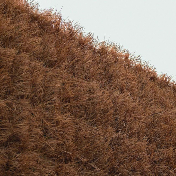 ქოქოსის ბუნებრივი ღობე Catral 17061840, 1x3m, Natural Coconut Fence, Brown