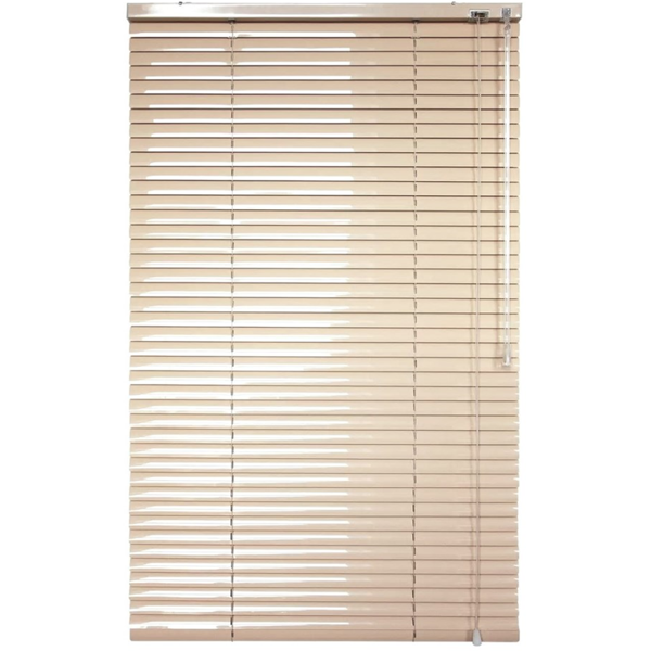 Blinds Delfa-Bug НМ-118, 40/150, Beige