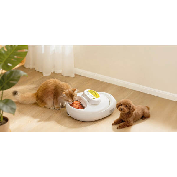 UBPet Smart Pet Feeder UBTech UCAT F21, White