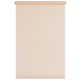 Roller Shade Delfa СРШ-01М-2288. 52x170cm, Beige