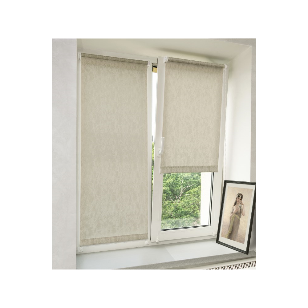 Roller Shade Delfa СРШ-03-27014, 200/170cm, Grey
