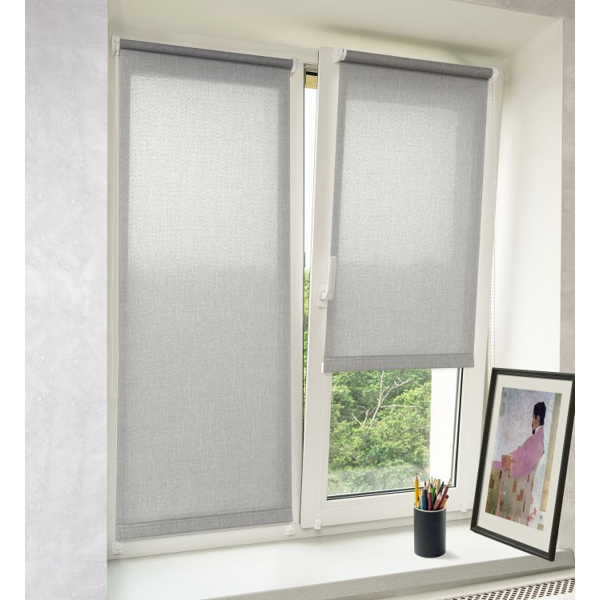Roller Shade Delfa Aura SRSH-01M-2720, 38(34)/170cm, Grey