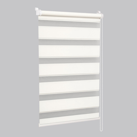 Roller Shade Delfa СРШ-01МКT-45802, 47(43)/160cm, White