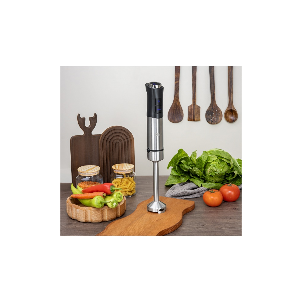 Hand Blender Zilan ZLN3984, 1200W, Black/Silver