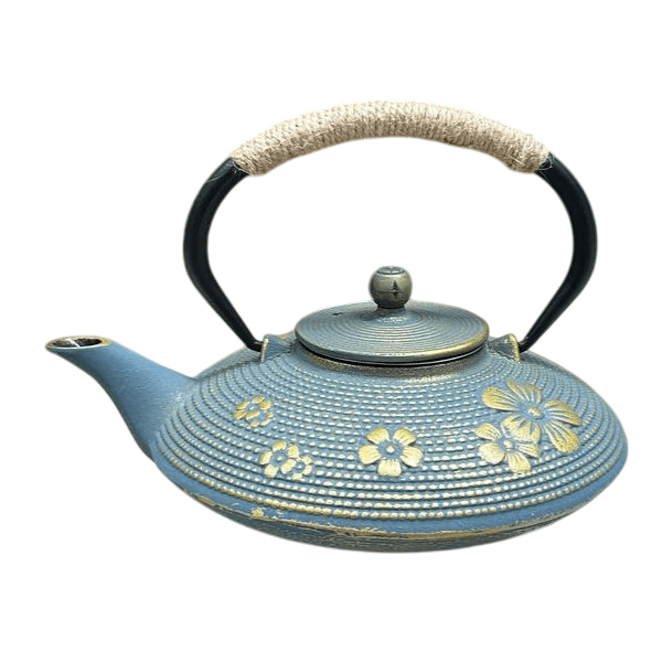 Kettle OEM MG-2066, Blue