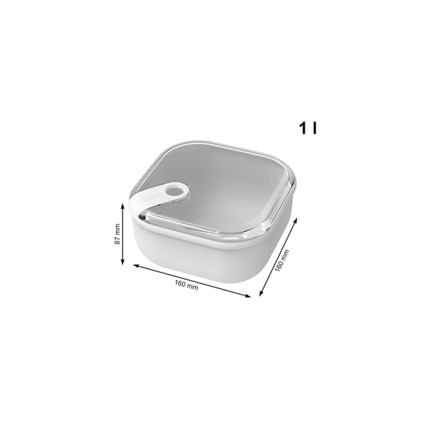 კონტეინერი Rotho ELA, 1L, Food Storage Container, Transparent
