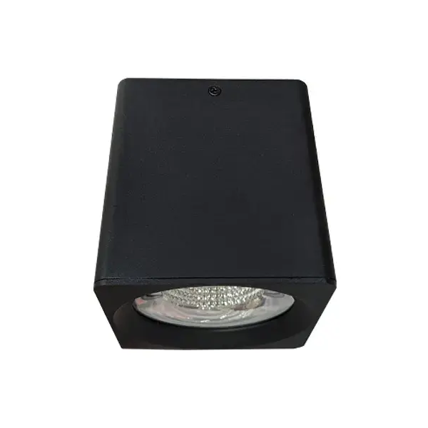 დაუნლაითი Sneha 15W 4000К HH07 15WCOB, Downlight, Black