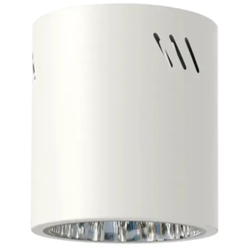 დაუნლაითი Milagro ML0481 E27 60W, Downlight, White